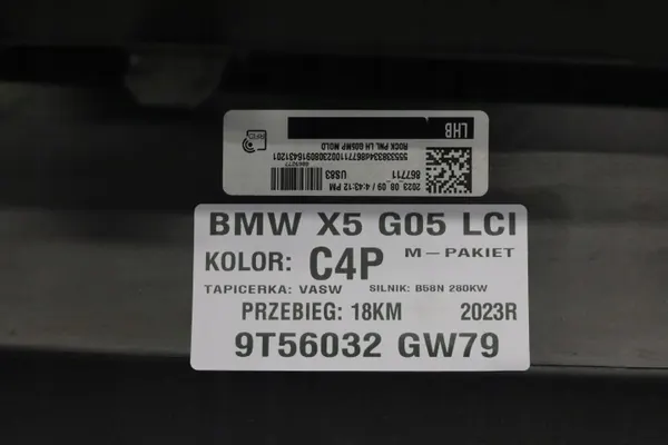 BMW X5 G05 Seitenschweller links OEM 8069277 image 6