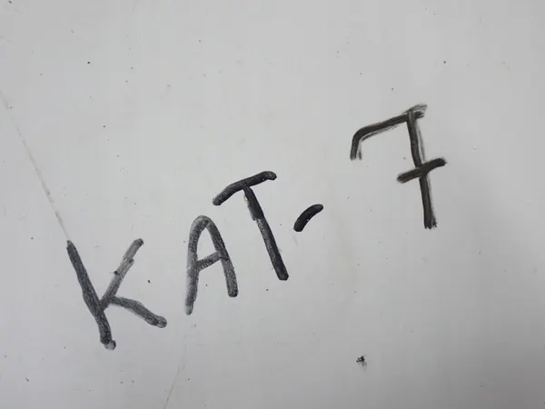 OEM 1122424301012 Katalysaattori Opelille image 5