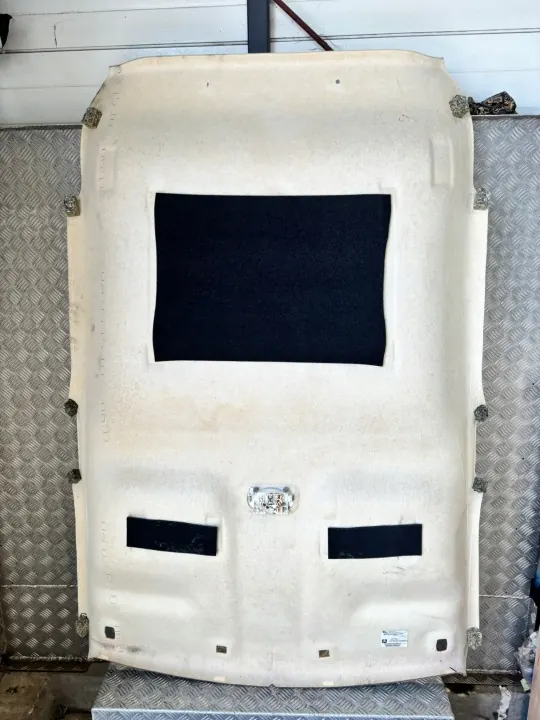 OEM 96866480BJ Dakbekleding voor Citroen C3 Lift image 7