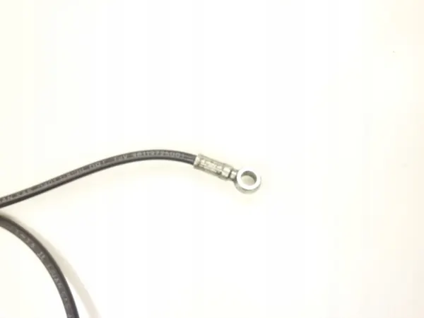 Flexible de frein avant droit OEM M-123941 Ligier JS50 image 3