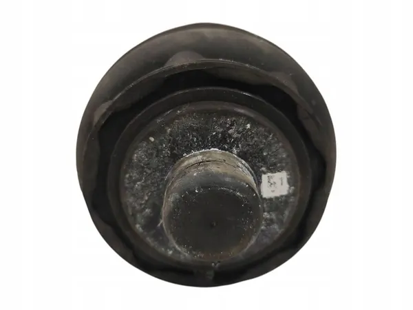 Sac de Suspension Arrière Porsche Macan Gauche 95B616001G image 2