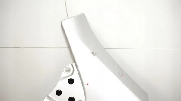 OEM 360167799 Etu-oikea lokasuoja Renault Fluence image 9