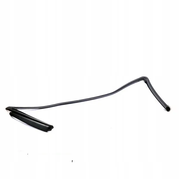 Joint de Toit BMW E88 7174784 image 5