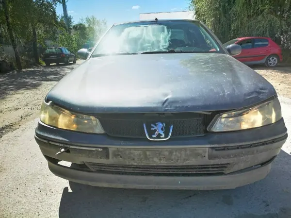 OEM as2 EIS-2225845 Peugeot 406 Achterlinker Deurslot image 6
