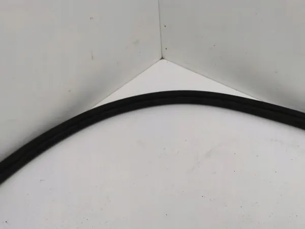 Junta de puerta trasera OEM AMD138514 para Volkswagen Arteon image 4
