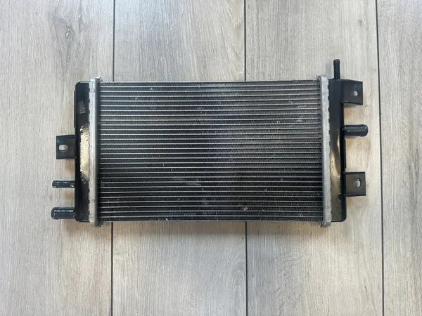 DACIA SPRING Radiador de Agua y Condensador de AC image 5