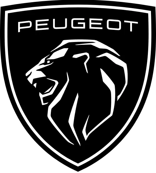 Placas de suelo OEM Peugeot Partner Citroen Berlingo image 4