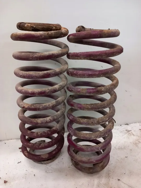 Vogtland Sport Lowering Springs Rear Volkswagen Golf 4 Kombi image 1