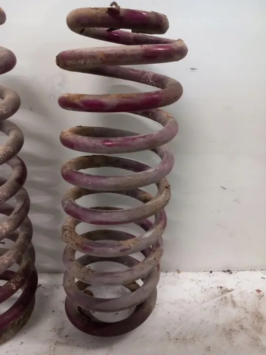 Vogtland Sport Lowering Springs Rear Volkswagen Golf 4 Kombi image 3