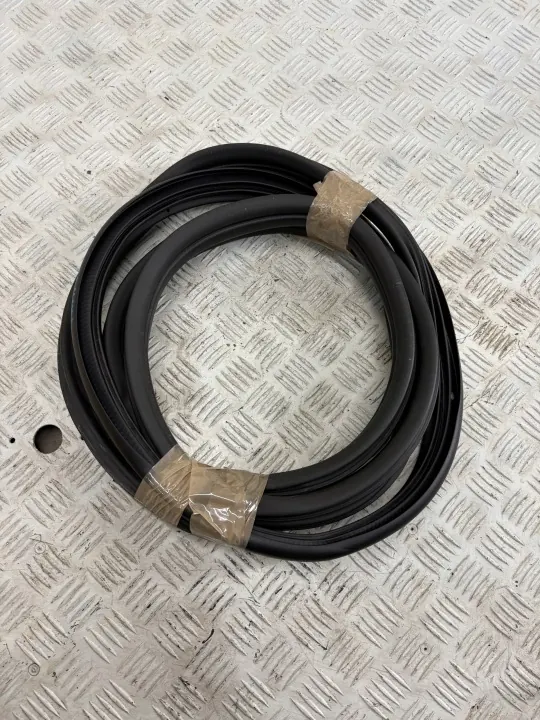 Junta da Porta Dianteira Esquerda OEM Renault Trafic III 14-21 image 3