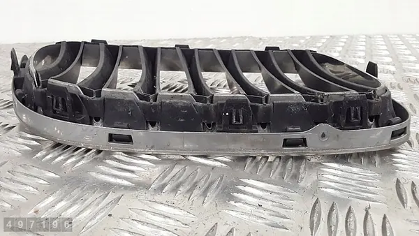 Griglia BMW X1 E84 2011 51112993305 image 3