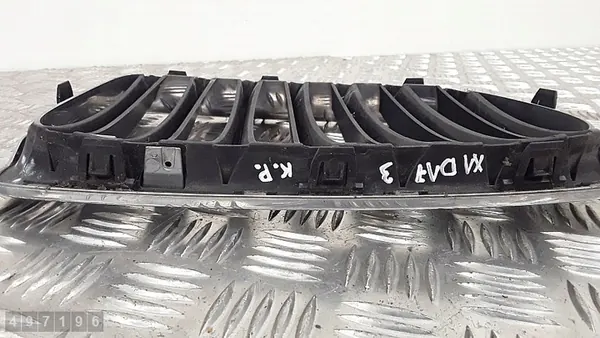 Griglia BMW X1 E84 2011 51112993305 image 4