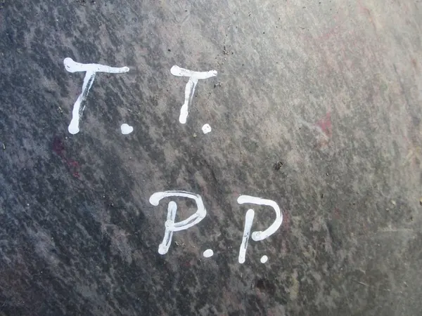 Right Front Wheel Arch Audi TT 8J 8J0821172B image 4