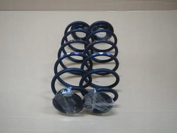 Kit de Molas Traseiras OEM SPRĘŻYNY TYŁ KOMPLET C3 III image 4