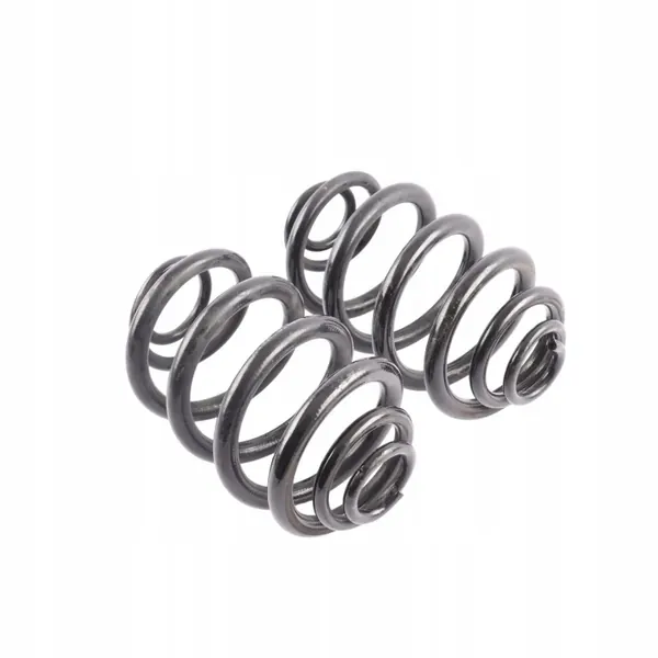 BMW X3 E83 Achtervering Veren OEM 3413080 image 5