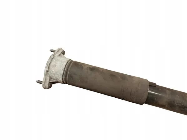 Vänster bakdämpare Mercedes-Benz CLS C218 X218 2014 A2183200130 image 3