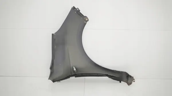 OEM 360195915 Etu vasen lokasuoja Hyundai i20 08-12 image 10