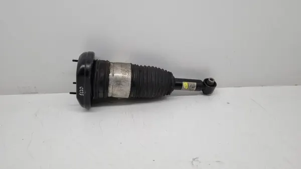 Muelle neumático OEM 814903014872 para BMW Serie 5 2018 image 2