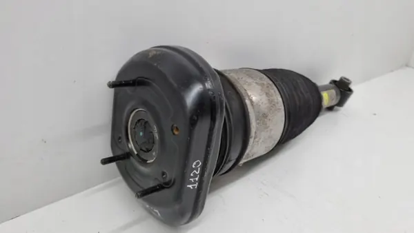 Muelle neumático OEM 814903014872 para BMW Serie 5 2018 image 3