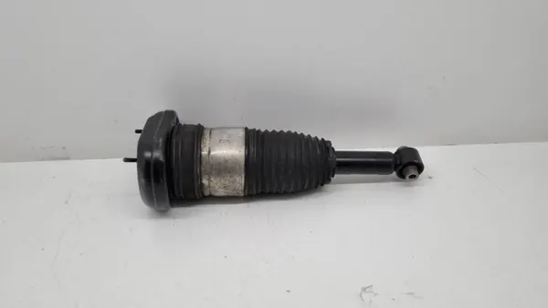 Muelle neumático OEM 814903014872 para BMW Serie 5 2018 image 4