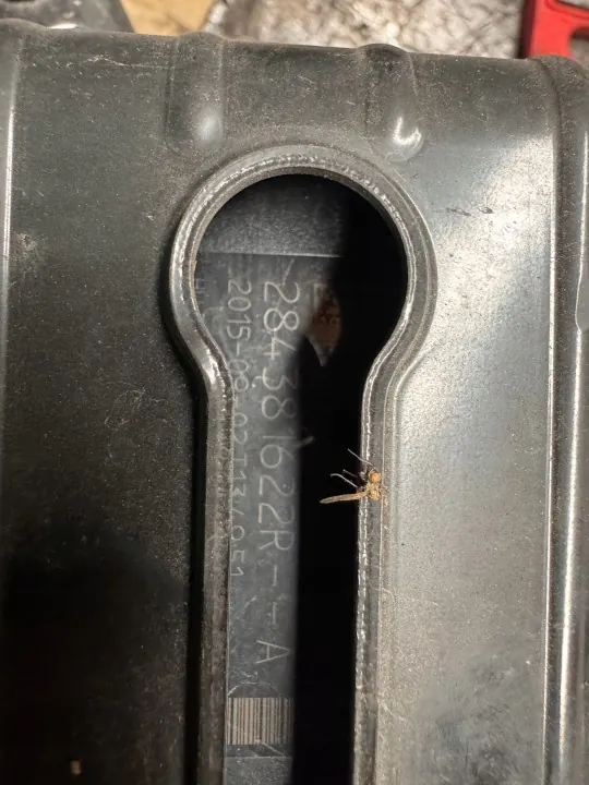 Radar de distance Distronic Renault OEM 284381622R image 3