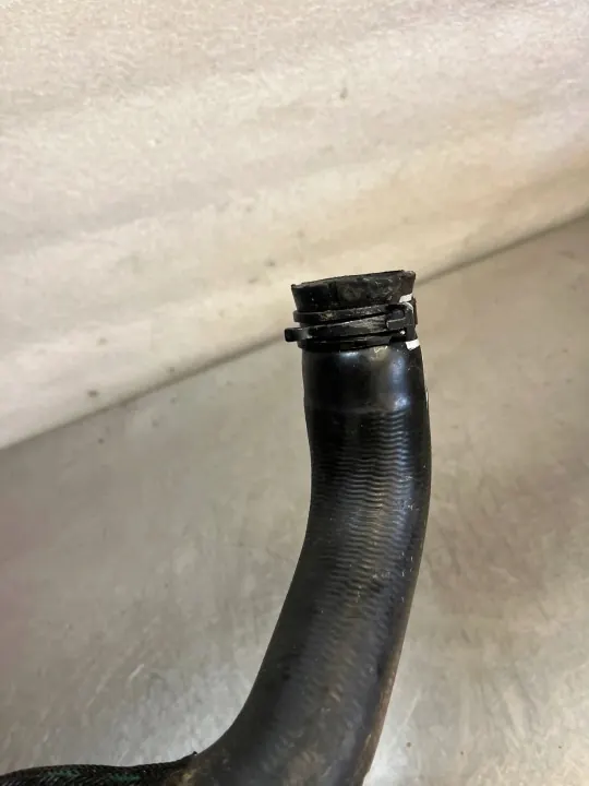 Vattenslang Renault Master IV 2.0 215038603R image 3
