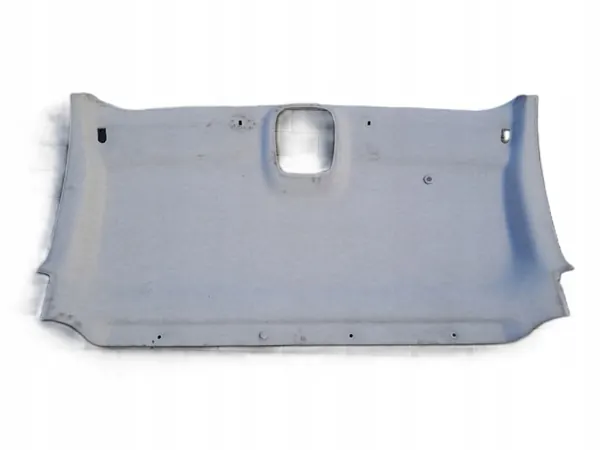 OEM 739012577R Front-Dachkonsole für Trafic III image 2