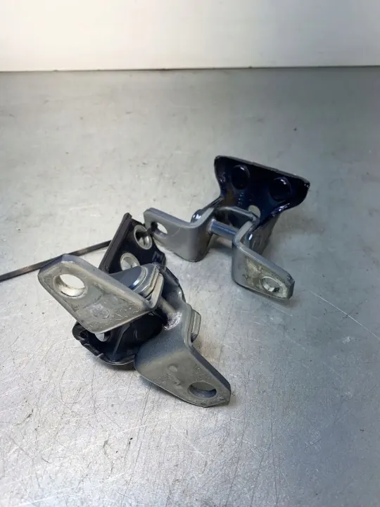 Mitsubishi Outlander Hintertürscharniere OEM FBZ17535 image 3