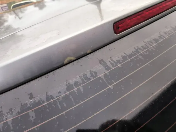 Hayon arrière Opel Signum Z163 image 4