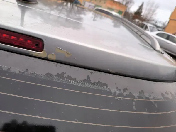 Hayon arrière Opel Signum Z163 image 5