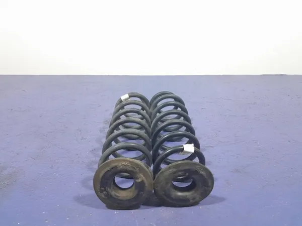 Muelles Traseros Skoda Superb III OEM 3Q0511115AL image 2