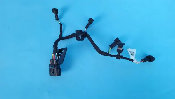 Faisceau d'injecteurs OEM 806003547AA pour Chery image 3
