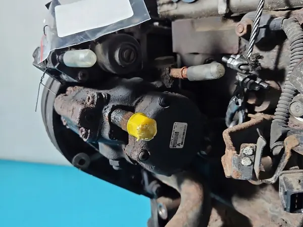 Kraftstoffpumpe Kia Carnival II 05-14 33100-4X400 image 2