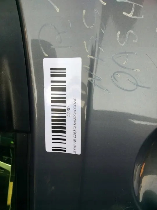 Puerta Trasera Izquierda OEM 360202850 Nissan Qashqai J10 image 9