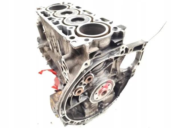 Bloco motor Ford C-Max T1DA 1.6 TDCi Diesel image 2