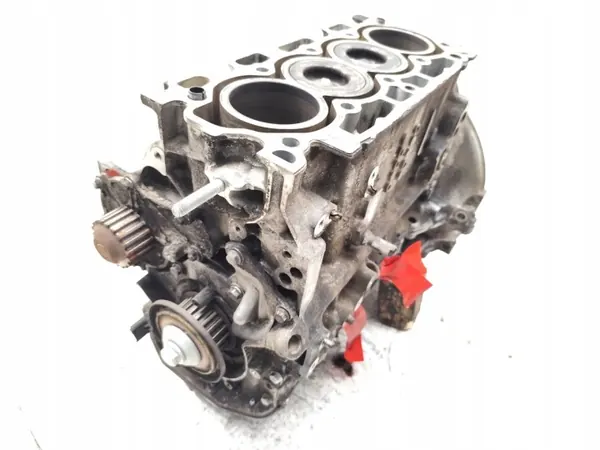 Bloco motor Ford C-Max T1DA 1.6 TDCi Diesel image 10