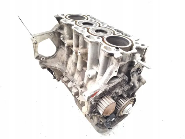 Bloco motor Ford C-Max T1DA 1.6 TDCi Diesel image 3