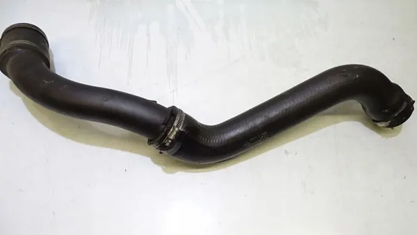 Luftansaugschlauch Renault Megane Scenic 1.9 image 3