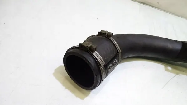 Luftansaugschlauch Renault Megane Scenic 1.9 image 5
