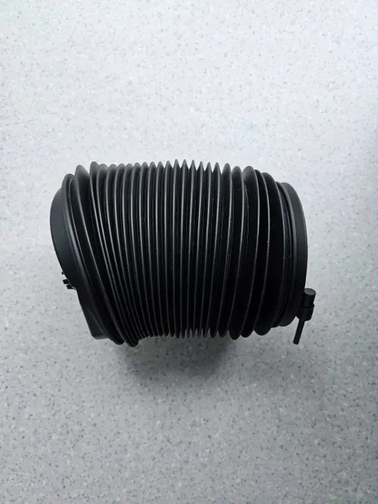 Jeep Grand Cherokee WL Ressort Air Arrière Gauche P68459777AF image 2