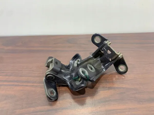 Hyundai Ioniq Hintertürscharniere OEM FBZ25351 image 2