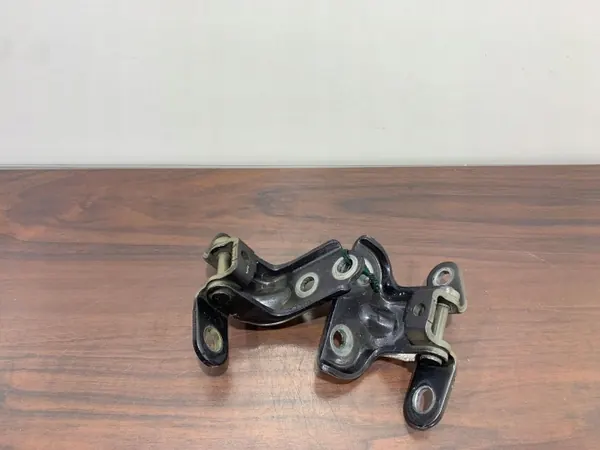 Hyundai Ioniq Hintertürscharniere OEM FBZ25351 image 4