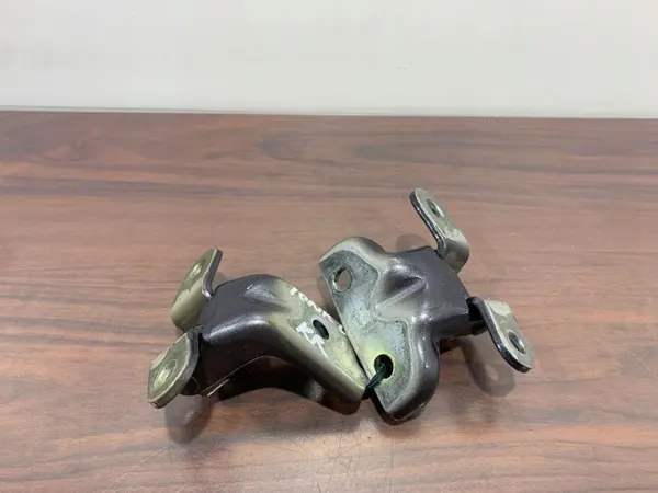 Hyundai Ioniq Hintertürscharniere OEM FBZ25351 image 5