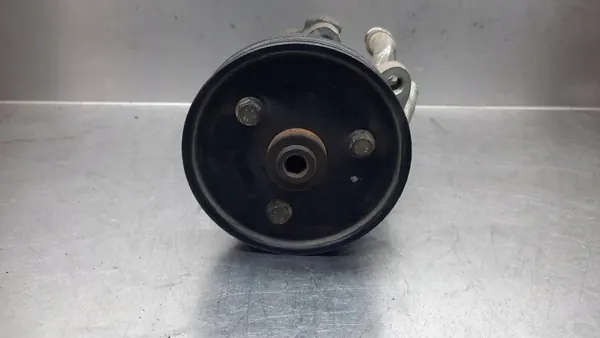 Bomba de direção assistida Renault Scenic I 1.9 DCI 7700417308 image 2