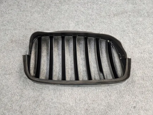 OEM 7305592 Radiatorrooster Nier - BMW X6 E71 07-14 image 10