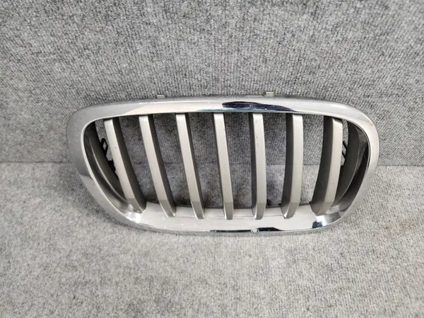 OEM 7305592 Radiatorrooster Nier - BMW X6 E71 07-14 image 3