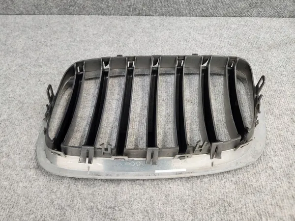 OEM 7305592 Radiatorrooster Nier - BMW X6 E71 07-14 image 4