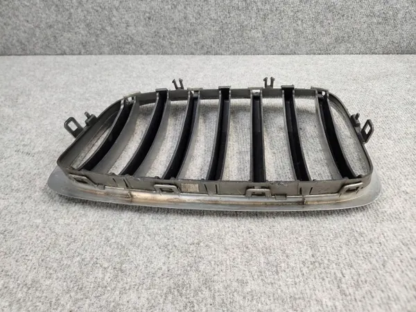 OEM 7305592 Radiatorrooster Nier - BMW X6 E71 07-14 image 5