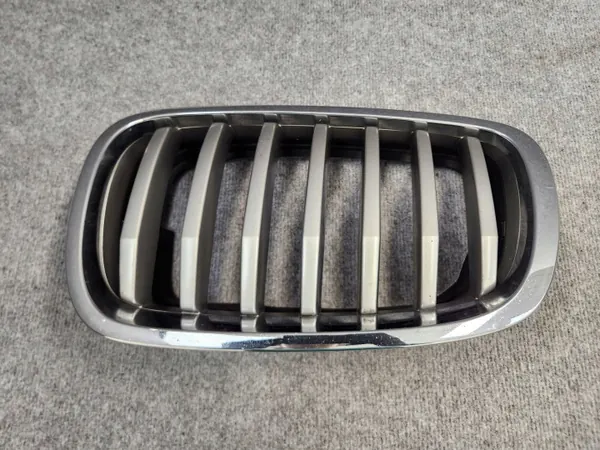OEM 7305592 Radiatorrooster Nier - BMW X6 E71 07-14 image 6