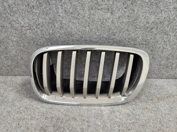 OEM 7305592 Radiatorrooster Nier - BMW X6 E71 07-14 image 7